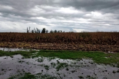 Vaccarezza cargó contra diputados del oficialismo por rechazar su pedido de emergencia agropecuaria