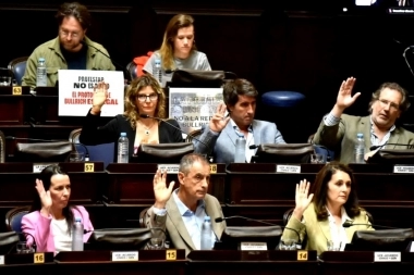 En “defensa de la educación pública”, legisladores opositores asistirán a la marcha del 23 de abril