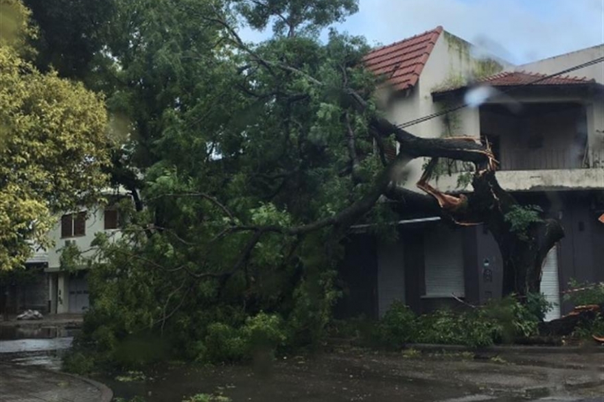 El furioso temporal dejó en la Provincia un fallecido y veinticinco municipios afectados