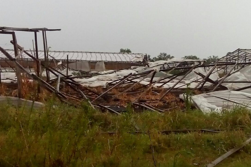 Provincia otorgará subsidio a productores afectados por el temporal en Berazategui