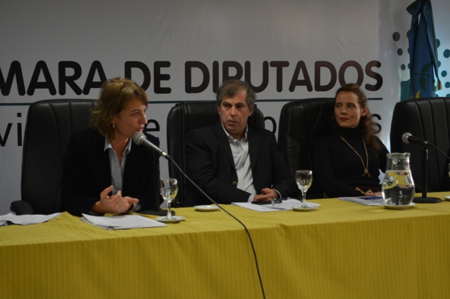 Diputados peronistas organizaron jornada por el Día Internacional de Acción por la Salud de la Mujer