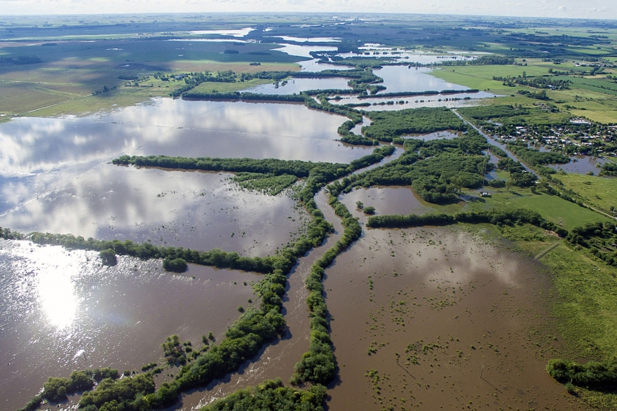 Agroindustria informó que las pérdidas por inundaciones serán de 300 millones de dólares
