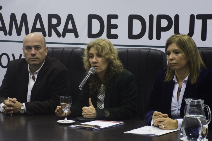 Legisladores bonaerenses realizaron jornada sobre prevención de muerte súbita en el deporte