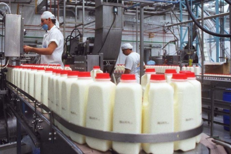 Desde el FpV reclaman “medidas urgentes” por la crisis del sector lácteo