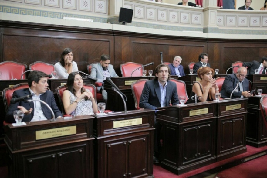 Bloque de Senadores del FpV PJ repudiaron dichos de Vidal contra legisladora Macha