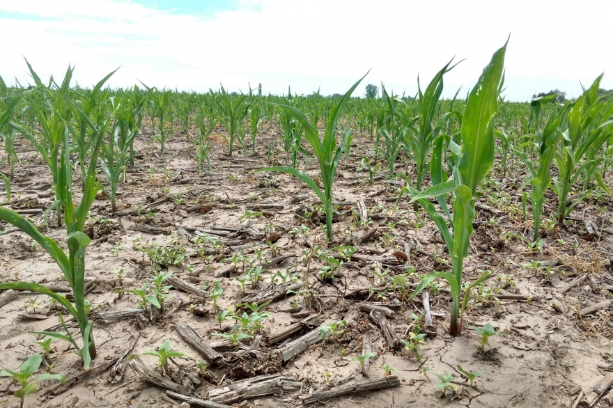 La Mesa Agropecuaria provincial no quiere suba de Inmobiliario Rural y pide audiencia con Vidal