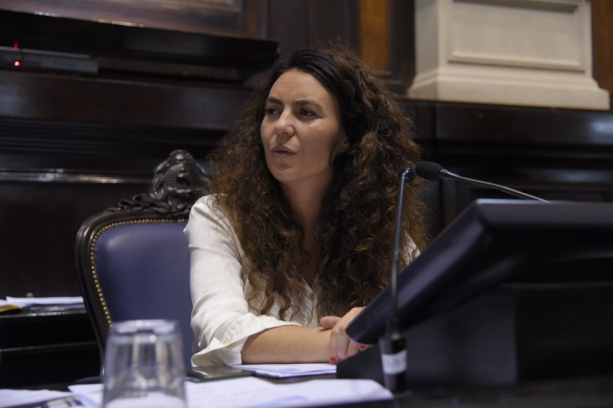 Diputada provincial presentó proyecto de repudio a las declaraciones de Albino por el debate del aborto