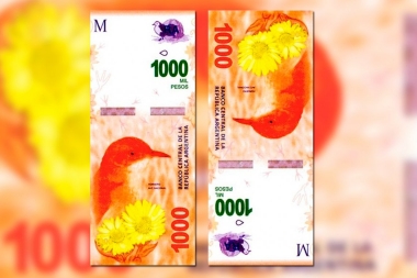 El billete de 1000 pesos circulará a partir de diciembre: está ilustrado con un hornero
