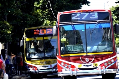 Se levantó el paro de micros en La Plata, Berisso y Ensenada: la UTA anunció acuerdo