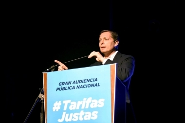 Gray se plantó contra los aumentos en el gas y busca suspender las audiencias públicas