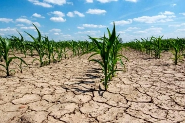 Beneficio impositivo a productores de un distrito bonaerense por la Emergencia Agropecuaria