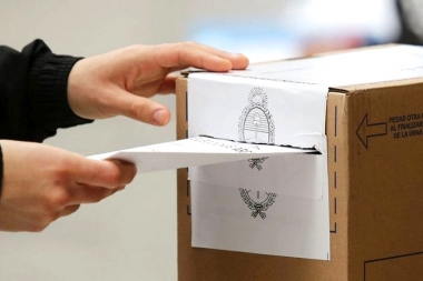 De cara a las PASO: el juez electoral bonaerense reconoció posibles “dificultades” en el escrutinio