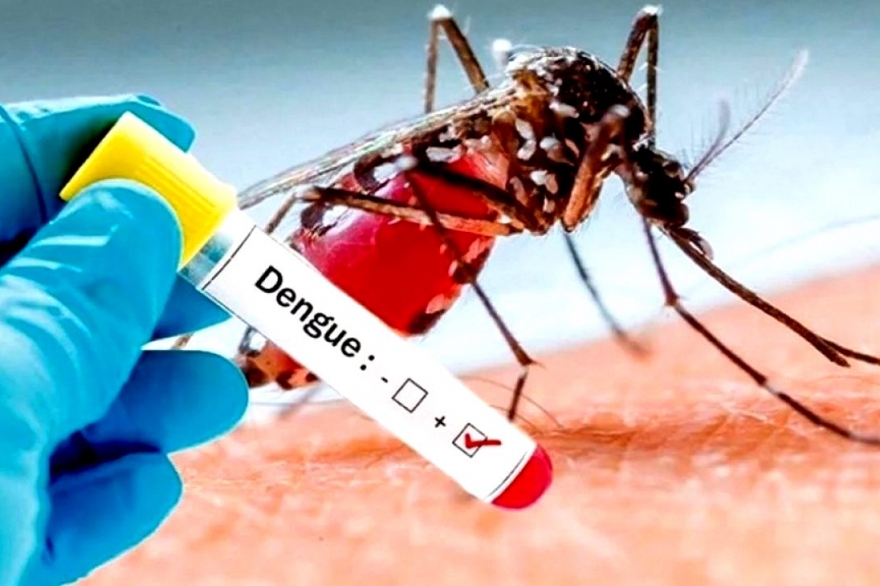 Impulsan proyecto para la prevención y el control del dengue en la provincia de Buenos Aires