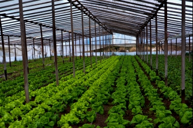 Lanzaron programa de promoción de la agroecología en la Provincia de Buenos Aires