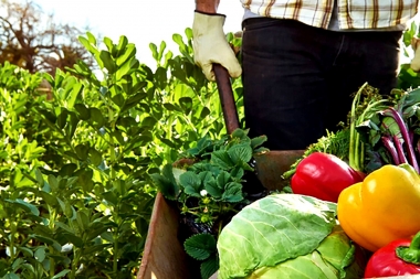 Cooperación en Agricultura Familiar entre la Provincia y el Estado brasilero de Pernambuco