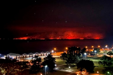 Cabandié le apuntó a Passaglia por los incendios desatados en el Delta del Paraná