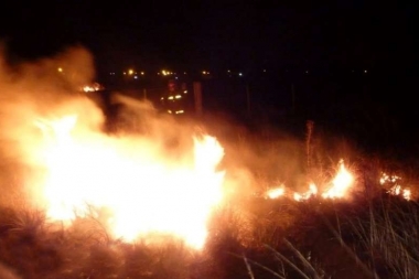Se incendió la Reserva Natural de Punta Lara y el humo cubrió el cielo del Conurbano Sur y parte de Capital Federal