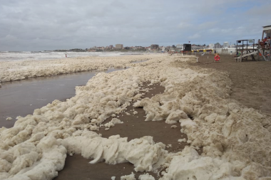 ¿Por qué se formó una extraña espuma en Mar del Plata?: la explicación de los científicos