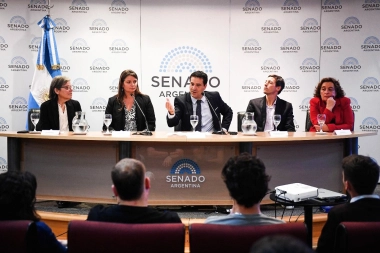 Legisladores bonaerenses llevaron un programa de fortalecimiento del trabajo al Congreso Nacional