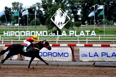 Demoras en Lotería en la entrega de premios a ganadores de Caballos de Carreras