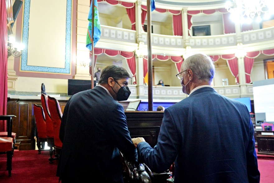 Bianco y Gollan expusieron ante la Bicameral: "Se está desarrollando un vasto plan de vacunación”