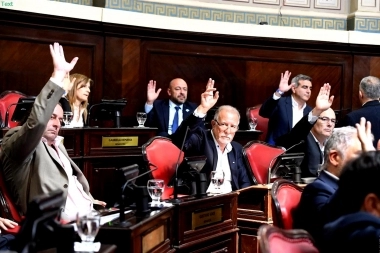 Senadores del Frente de Todos celebraron la ley que permite a Provincia comprar vacunas