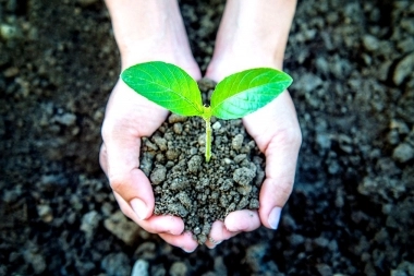 El Senado aprobó la adhesión de Provincia a la Ley Nacional de Educación Ambiental