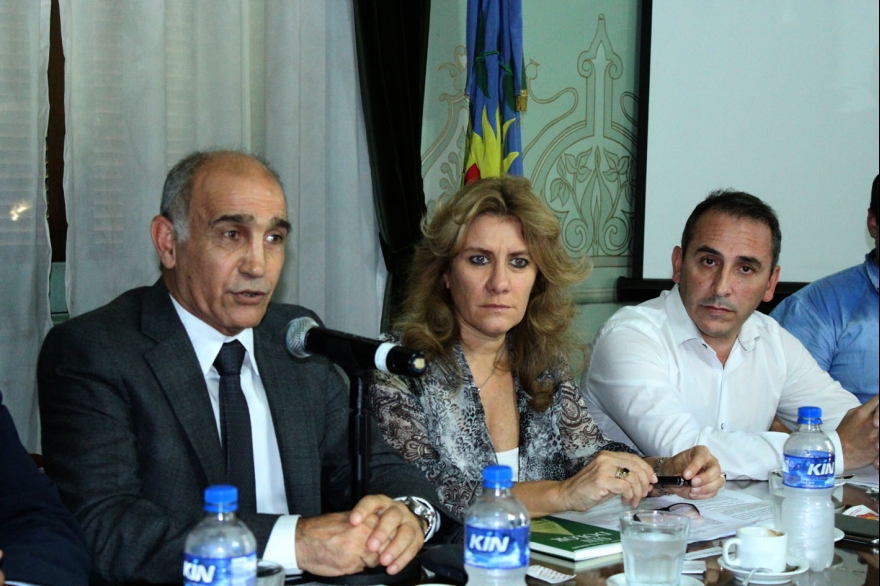 Legisladores y especialistas empezaron a debatir la Ley de Cannabis Medicinal en la Provincia