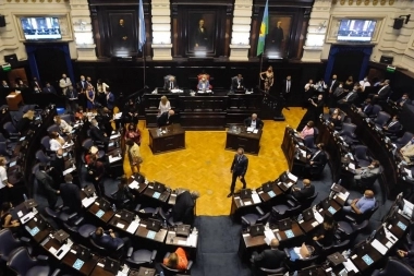 Senadores de Juntos apuntaron contra Aníbal Fernández por su cruce con Nik