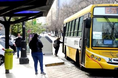 Colectivos gratuitos durante el domingo de elecciones en La Plata