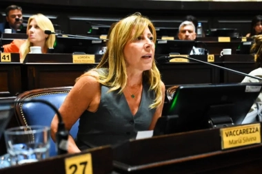 Vaccarezza tildó de “manotazo de ahogado” la quita de retenciones y habló del frágil programa económico de Milei