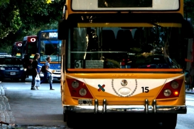 Día de la Democracia: micros y trenes gratis en todo el país