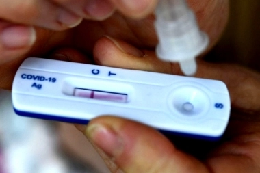 Llegaron los autotests de Covid: cómo hacerse la prueba en casa