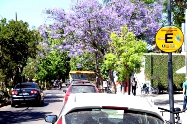 La Plata: vuelve el horario extendido del Estacionamiento Medido