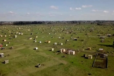 Legisladores de Juntos pidieron respuestas por la toma de tierras en La Plata