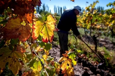 Se vino el otoño: por qué este año se celebró el 20 de marzo y no el 21