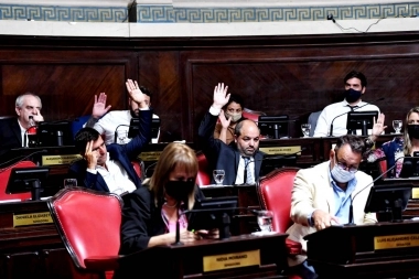 Senadores bonaerenses repudiaron el ataque al edificio Municipal de Coronel Rosales