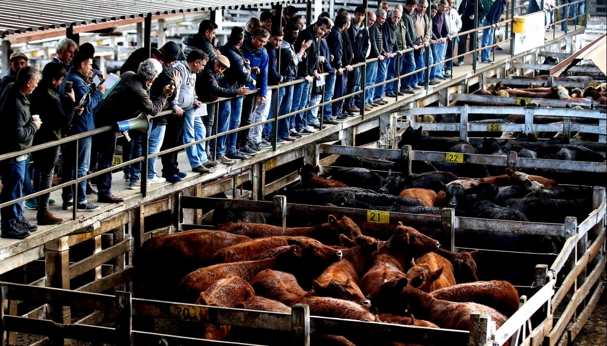 Fueron 121 años: cerró el Mercado de Liniers y se traslada en Cañuelas