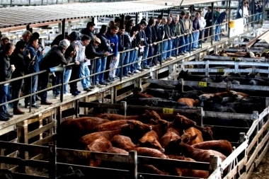 Otra vez postergan el traslado del Mercado de Hacienda a Cañuelas