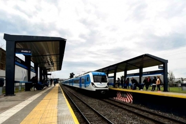 Video impactante: se cayó debajo de un tren en movimiento y sobrevivió