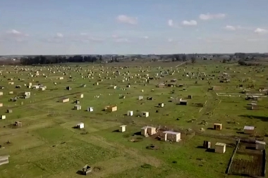 Megatoma de Los Hornos: el Municipio de La Plata insiste para desarchivar la causa