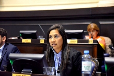 Indarte y un pase de facturas al Frente de Todos por la Comisión de Ambiente