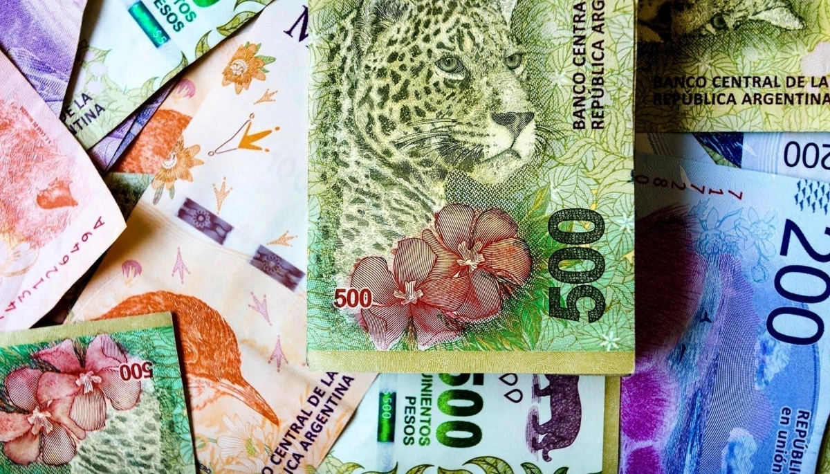 Cuáles son las mujeres argentinas que estarán en los billetes que anunció Alberto Fernández