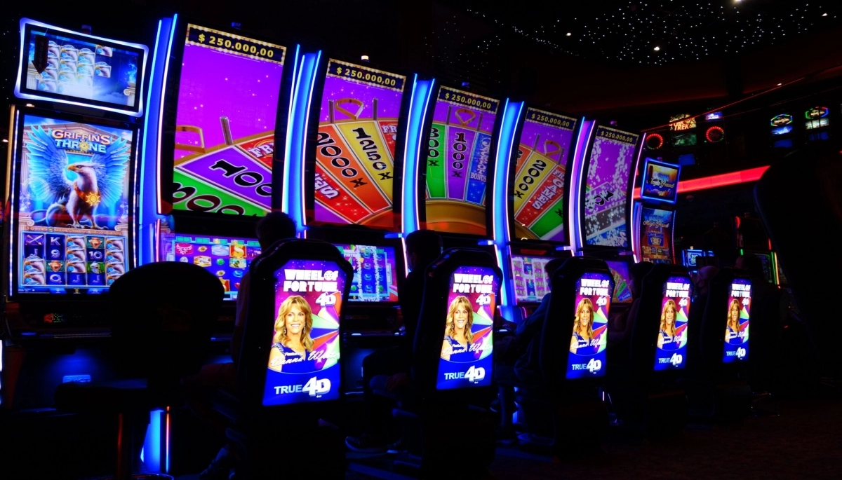 Crónica de un día en el Bingo de La Plata: en las manos del azar