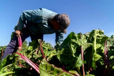 La Provincia lanzó una convocatoria para financiamiento a cooperativas agropecuarias