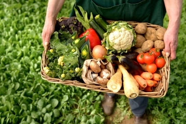 En la Provincia se presentó nuevamente el programa "Exportando Alimentos Bonaerenses"