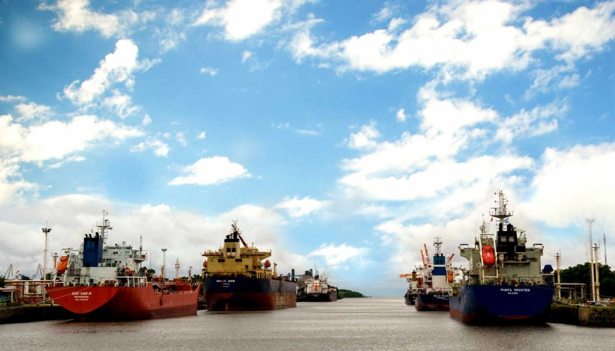 Puerto La Plata: se registró un crecimiento en el volumen de carga durante el primer semestre 2022