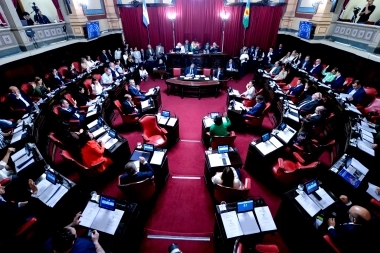 “Scoring” para conducir y regulación de pantallas: de qué tratan los proyectos aprobados en el Senado bonaerense