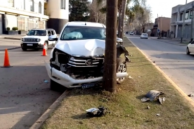 Mientras manejaba golpeaba a su mujer, huyó, chocó una palmera y mordió a una policía