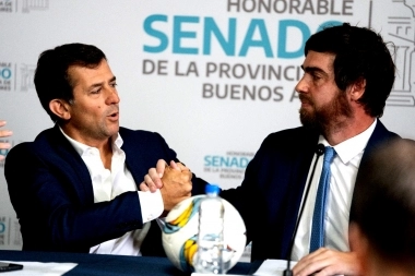 Visibilización en el Senado: presentaron serie de cuentos sobre actividades adaptadas